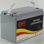 Rechargeable LiFePO4 Lithium Ion Battery Pack 36V 50Ah 1760Wh Battery For Golf