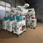 600kg/h Rice Polishing Machine for Mist Polishing in Manufacturing Plant