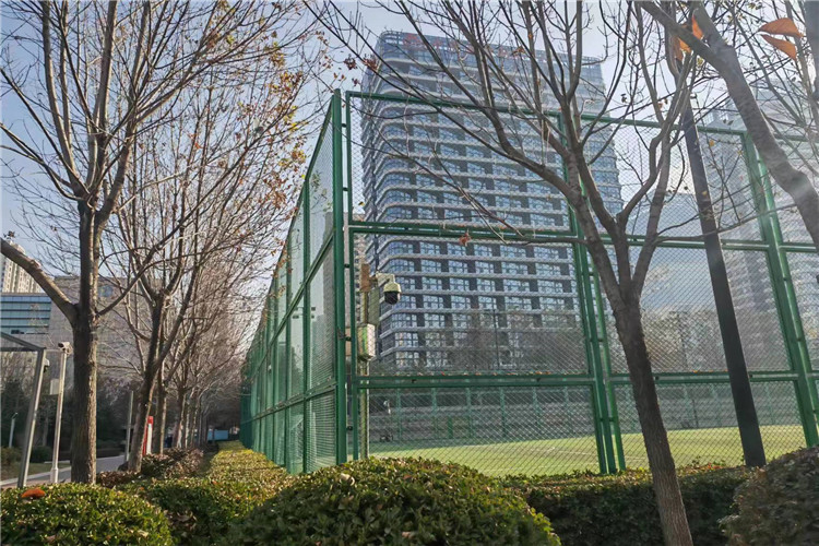 High Security Galvanized Vinyl Coated Chain Link Fence For Stadium Fence
