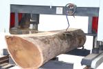 Large Wood Tree Cutting Horizontal Bandsaw Sawmill Machine For Sale