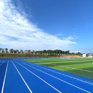 Quality Red Semi Prefabricate Running Track Weather Resistance wholesale