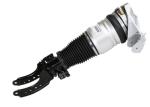 ODM Front Volkswagen Struts Tourage Shock Absorber 7L8616039D