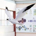 Christmas Festival Party Decoration Feather Bird 22x25cm Dyed Pattern Included