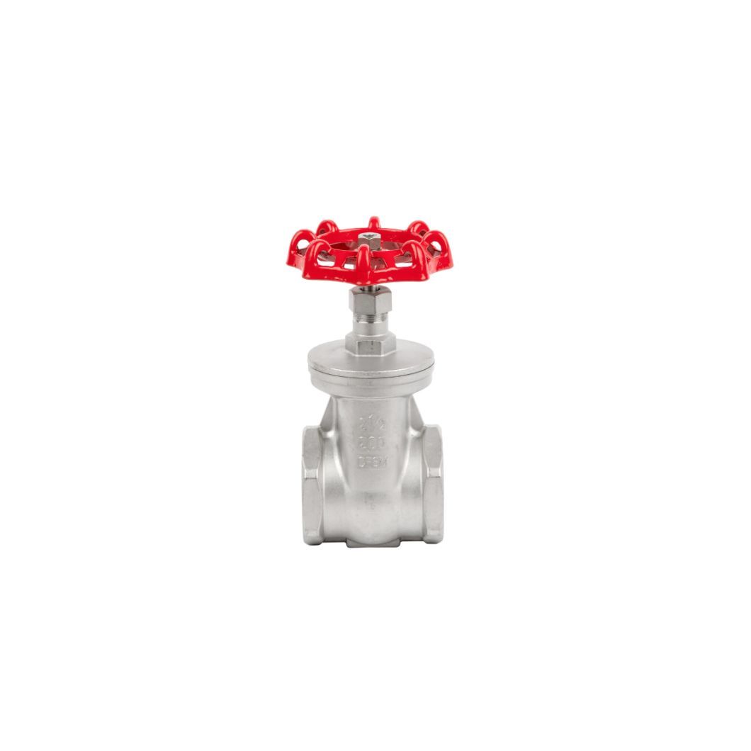Xtv Stainless Steel NPT/BSPT/BSPP Non Rising Thread Water Gate Valve