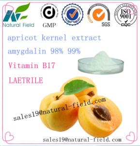 Quality direct manufacturer bitter apricot seed amygdalin powder vitamin b17 wholesale