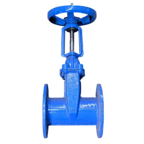 Cheap Y Type Large Diameter Valve Ductile Iron Soft Sealing Flange Gate Valve Z41X-16Q DN300 for sale