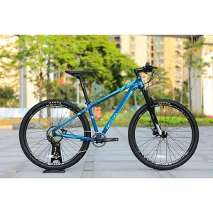 Quality High Configuration 30 Speed 29 Inch Carbon Fiber Mountain Bike with SMN M6000-30Speed wholesale