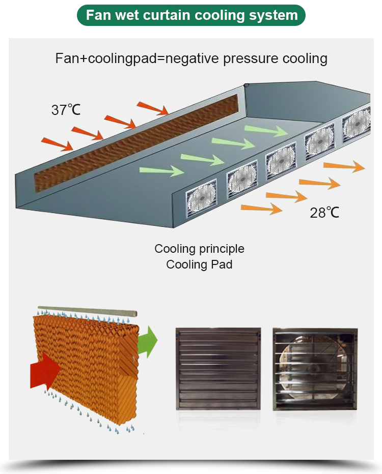 Agricultural Greenhouse Ltd. Presents Large Vertical Hydroponic System for Lettuce