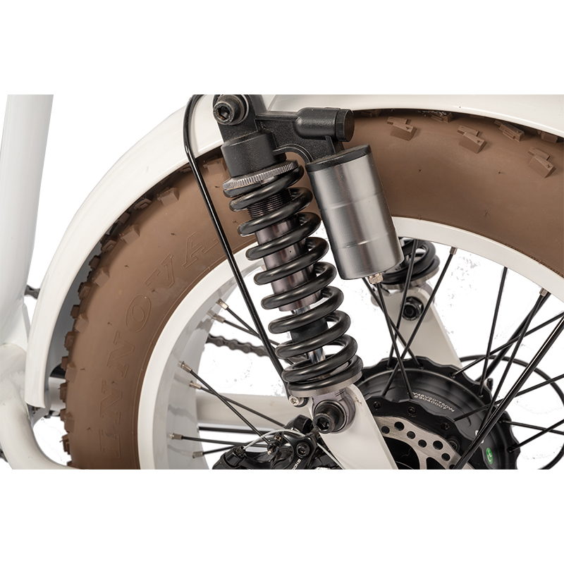 LCD Display Electric Bike with 48V Battery 750W 1000W Motor 7 Speed and Vintage Style