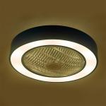 Macaron Ceiling fan lamp Intelligent remote control AC motor restaurant celling