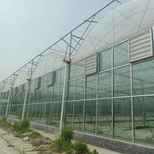 Quality Modular Agricultural Greenhouse For Sale Dome Roof Cover Film Side Cover Multi Span Cucumber Lettuce Growing wholesale