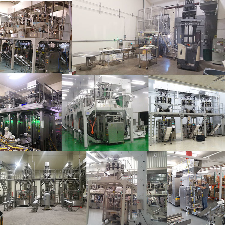 10 Heads Weigher 0.10mm Snack Food Packaging Machine