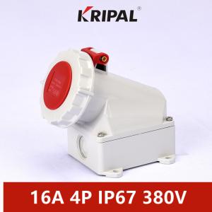 Quality IP67 16A 380V 4 Pole Industrial Wall Mounted Socket IEC Standard wholesale