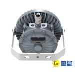 45W 80W Zone 1 Hazardous Area Lighting 140lm/W Sealion Series