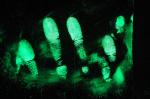 C111 Yellow fluorescent fingerprint powder