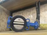 1 Inch Sanitary Stainless Steel Pneumatic Butterfly Valve with Customized