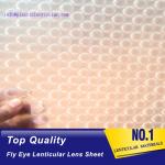 PLASTIC LENTICULAR hot sales dot lens film 0.5mm fly-eyes sheet lenticular 3d