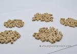 Feedstuff Ingredient Pellet Protein Natural Wheat Gluten Water Insoluble