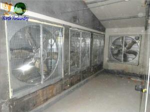 Quality poultry fan for chicken house wholesale