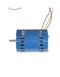 Induction AC motor