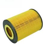 High Quality Auto Parts Engine Oil Filter 11427511161