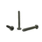 Pan Head Torx 304 Stainless Steel PT Self Tapping Screw PB3*20 customized