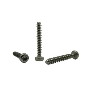 Quality Pan Head Torx 304 Stainless Steel PT Self Tapping Screw PB3*20 customized wholesale