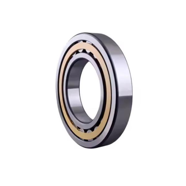 High Precision Bearing Cheap Bearing in Stock Cylindrical Roller Bearing NJ211E