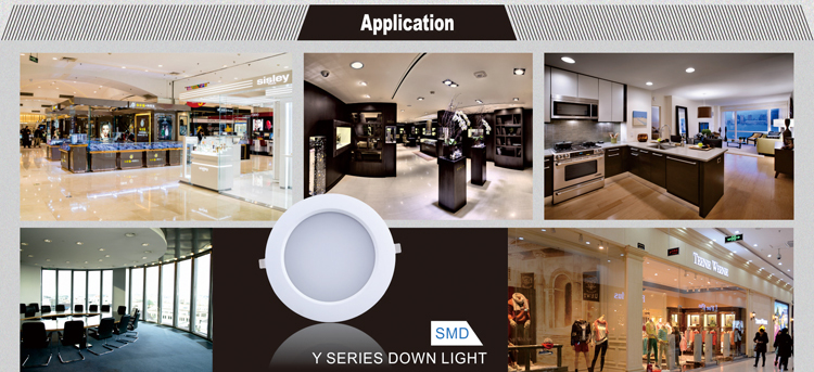 SMD 30W high power LED downlight factory wholesale