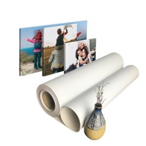Quality Eco Solvent Inkjet Canvas Pure Cotton Matte 360gsm For Digital Printing wholesale