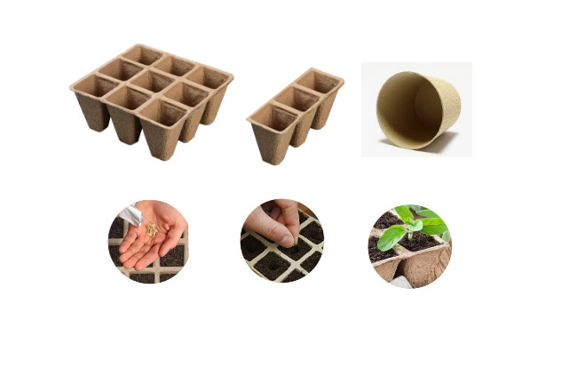 Nursery Seed Tray Making Machine Full Automatic Pulp Molding Machine