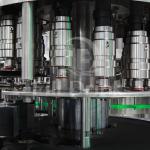 Automatic Carbonated Drink Filling Machine 350ML PET Bottle Filling Machine