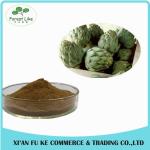 Hot Product Bulk Food Grade Jerusalem Artichoke Extract Lunlin 90% Powder