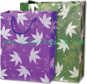 Quality jewelry Paper bag, gift paper bag ,shopping paper bag wholesale