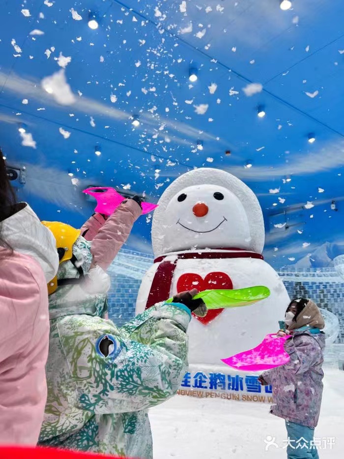 270 KG Snow Falling Machine for Spa Party Year Christmas Affordable and Versatile