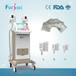 Quality 2 handles work together 15 inch screen champagne painting factory price Fat Freeze Slimming wholesale