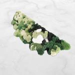 Pure Handmade Wool Green Moss Carpet 1000*830mm Modern Living Room Rugs