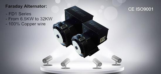 2 pole alternator 3000rpm brushless generator 50HZ single phase generator