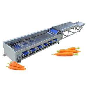 China Carrot Onion Potato Grading Machine Fruit And Vegetable Sorting Machine on sale