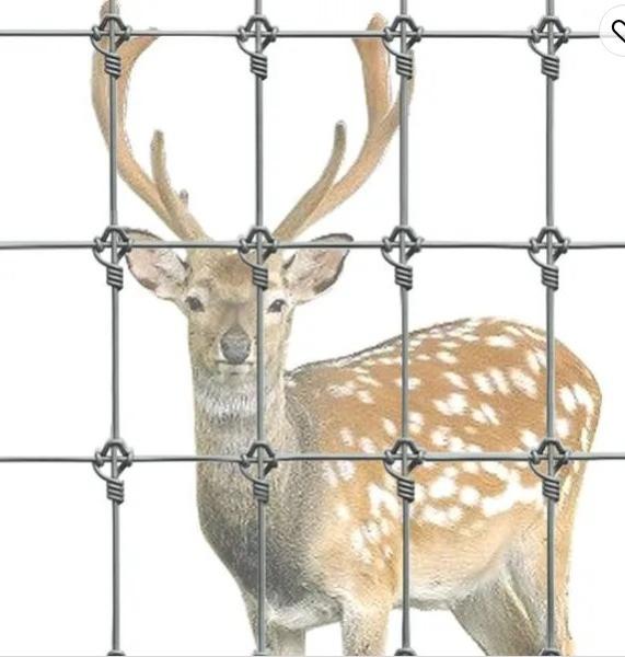 Rot Proof Fixed Knot Steel Farm Field Fence for Safe and Secure Animal