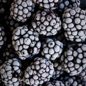 Quality IQF Blackberries whole fruit, dark or deep red, calibrated or uncalibrated wholesale