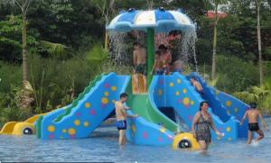 Quality Interactive Kids and Adult Fiberglass Slides Swimming Pool Play Equipment wholesale