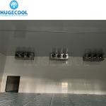 Large Cold Storage Cold Room For Fruits And Vegetables After-sales Service