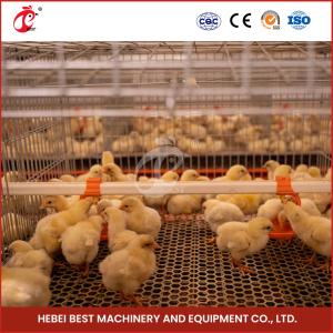 Quality High Durability Poultry Broiler Chicken Cage System 112 Birds Iris wholesale