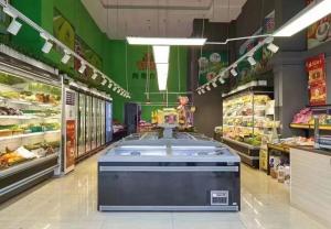 Quality 670W 600L Frost Free Chest Freezer Fridge 150Kg For Supermarket wholesale
