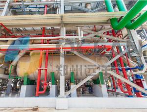 Quality Stainless Steel Oilseed Press Plant Rice Bran Oil Extraction OEM wholesale