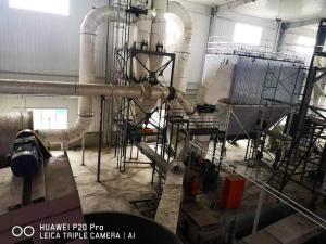 Quality 10t/h Indonesia Wood Pellet Machine Parts Automated PLC Control wholesale