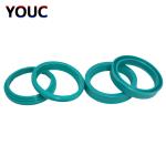 PTFE POM FKM Seal Kit Seal Ring Mechanical Parts In Machinery Repair Green High
