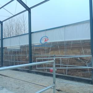 Quality Steel Metal Shed Construction , Prefab Steel Shed For Dairy Farm wholesale