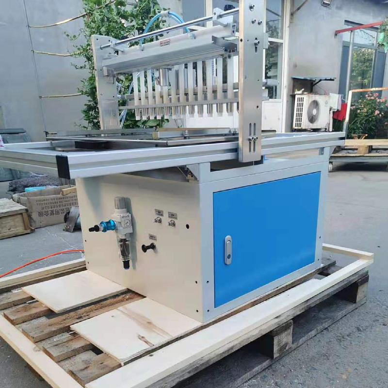 Customised Nursery Seeding Machine with Automatic Seed Planting and CE Certification